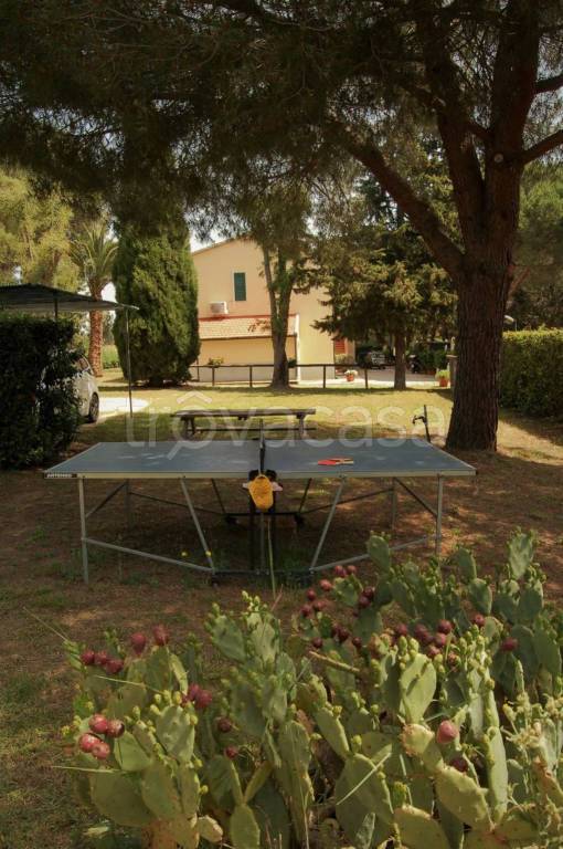 immagine annuncio 13 di 14
