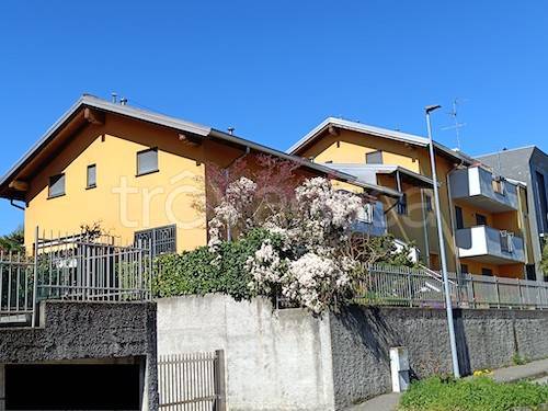 immagine annuncio 1 di 14