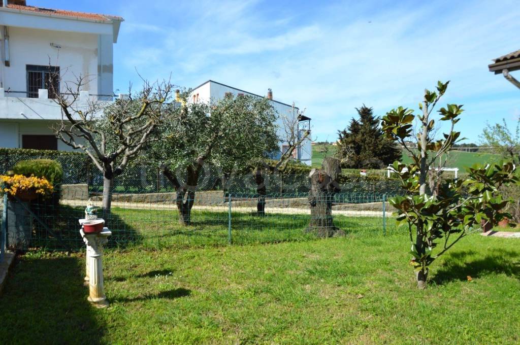 immagine annuncio 2 di 14