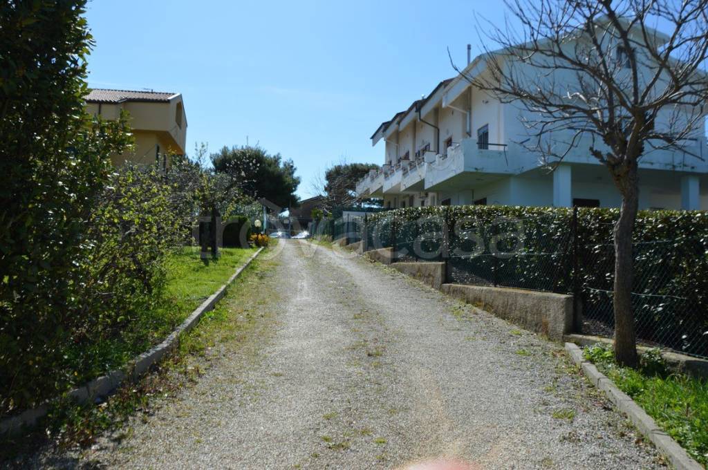 immagine annuncio 12 di 14