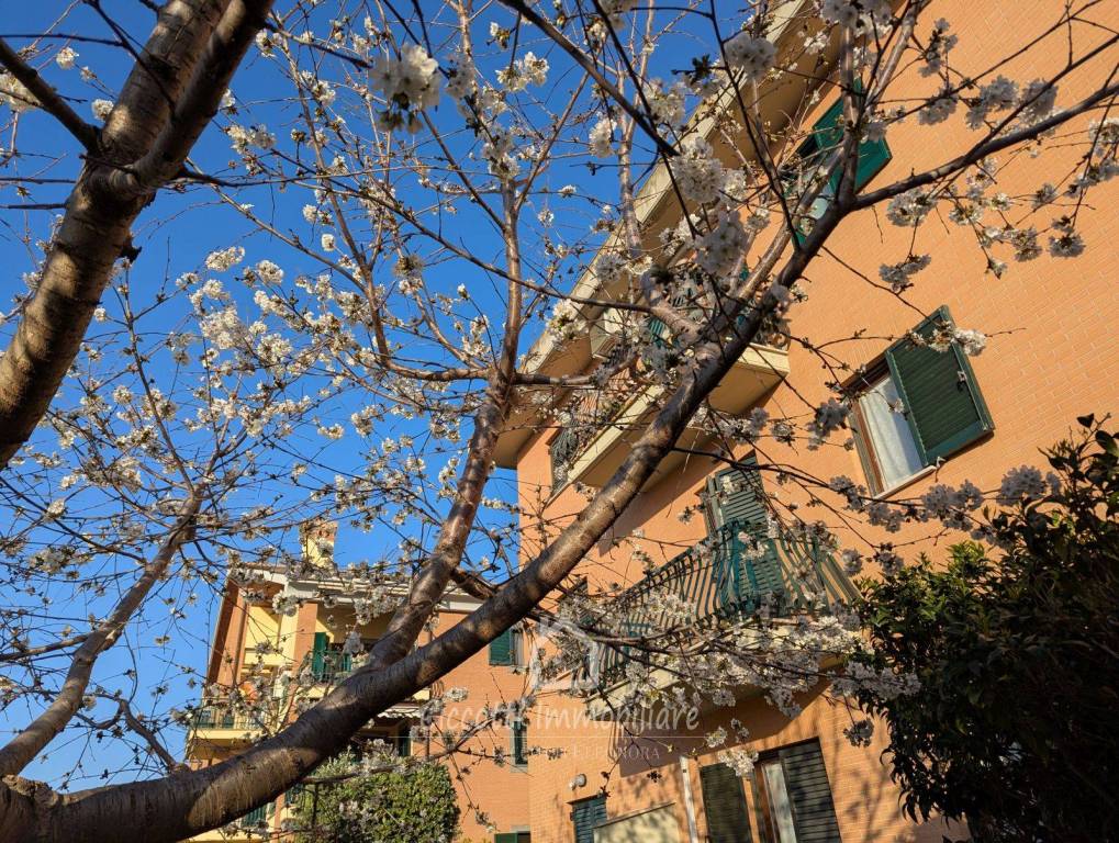 immagine annuncio 4 di 12