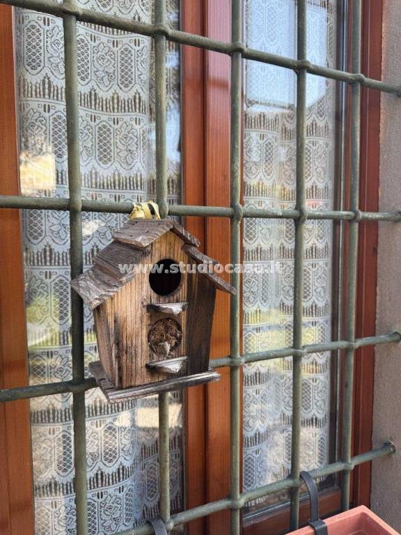 immagine annuncio 6 di 11