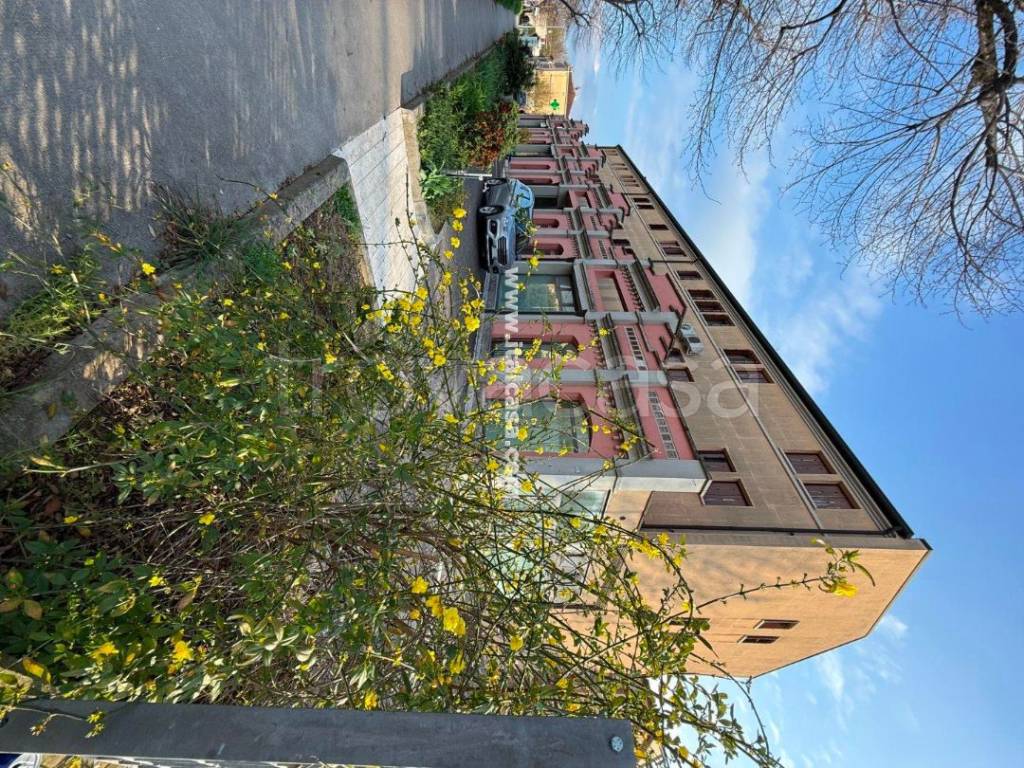 immagine annuncio 11 di 14