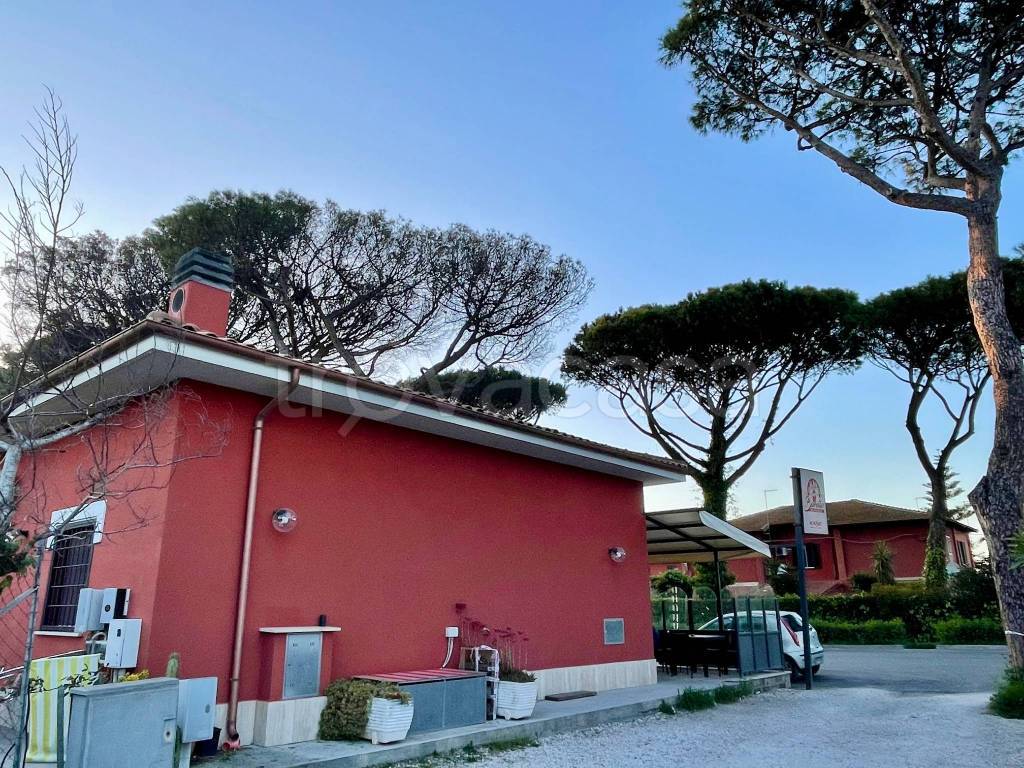 immagine annuncio 5 di 11