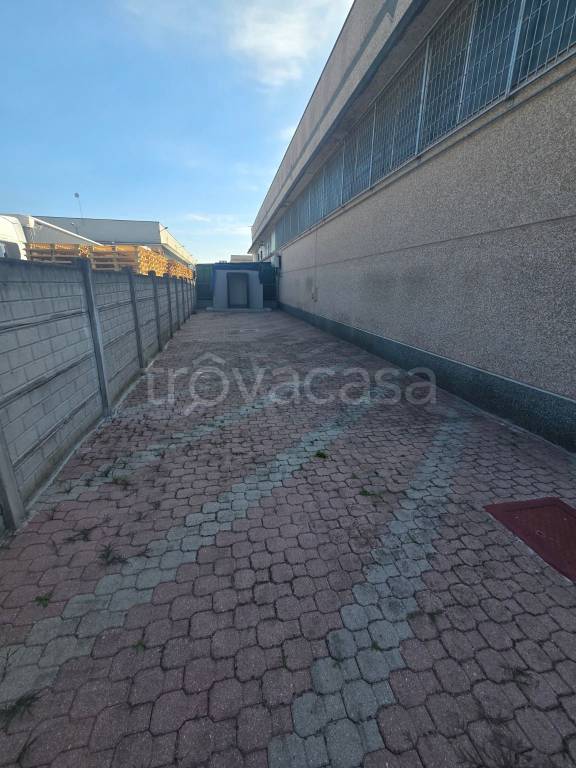 immagine annuncio 7 di 11