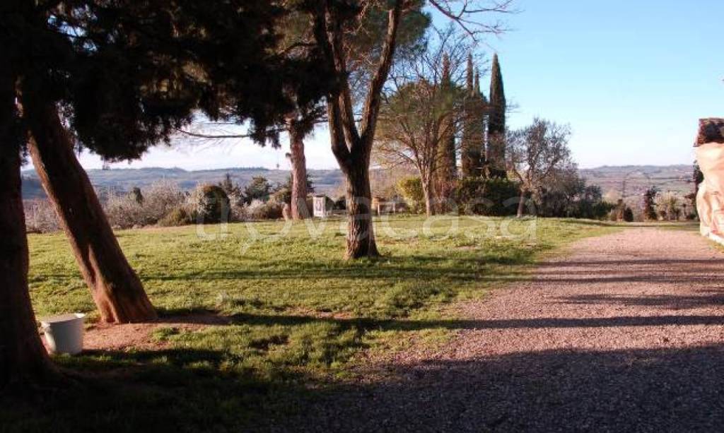 immagine annuncio 5 di 6