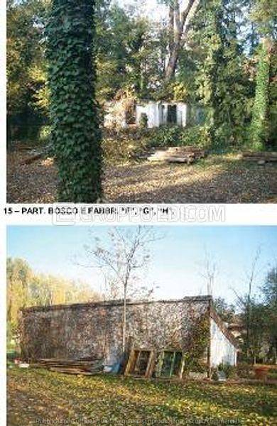 immagine annuncio 5 di 7