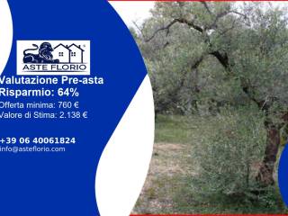 Terreno agricolo all'asta a palo del colle strada comunale parco della corte