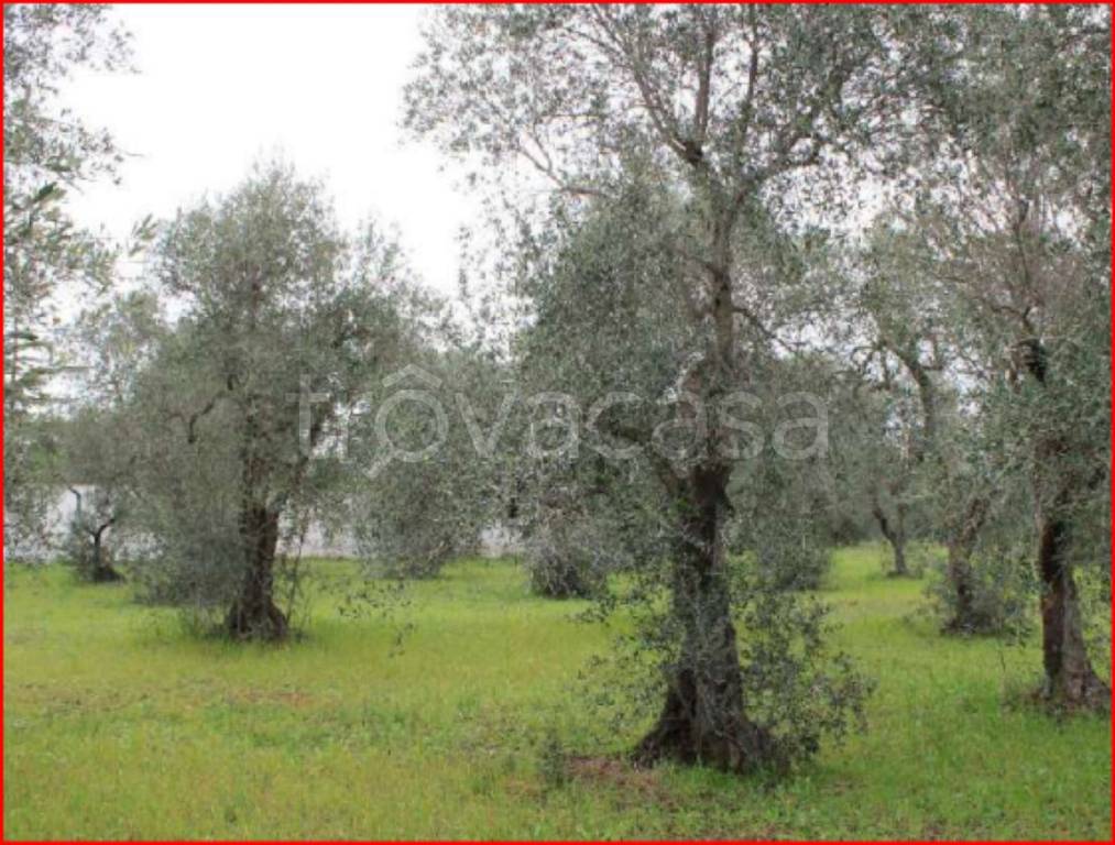 immagine annuncio 6 di 11