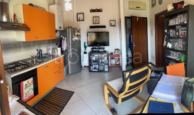 immagine annuncio 2 di 15