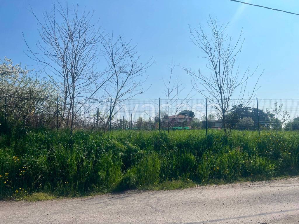 immagine annuncio 5 di 6
