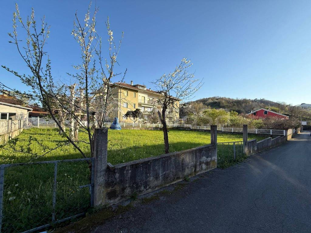 immagine annuncio 2 di 6