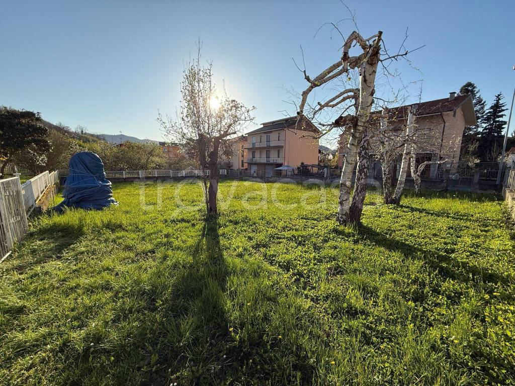 immagine annuncio 3 di 6