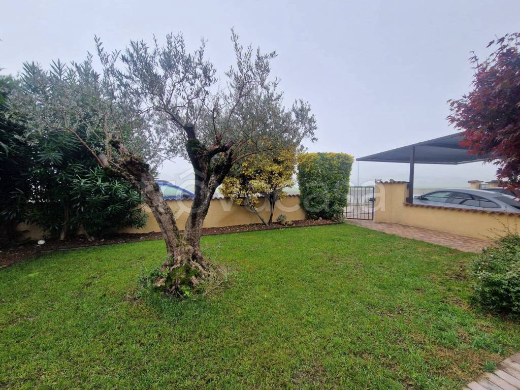 immagine annuncio 12 di 14