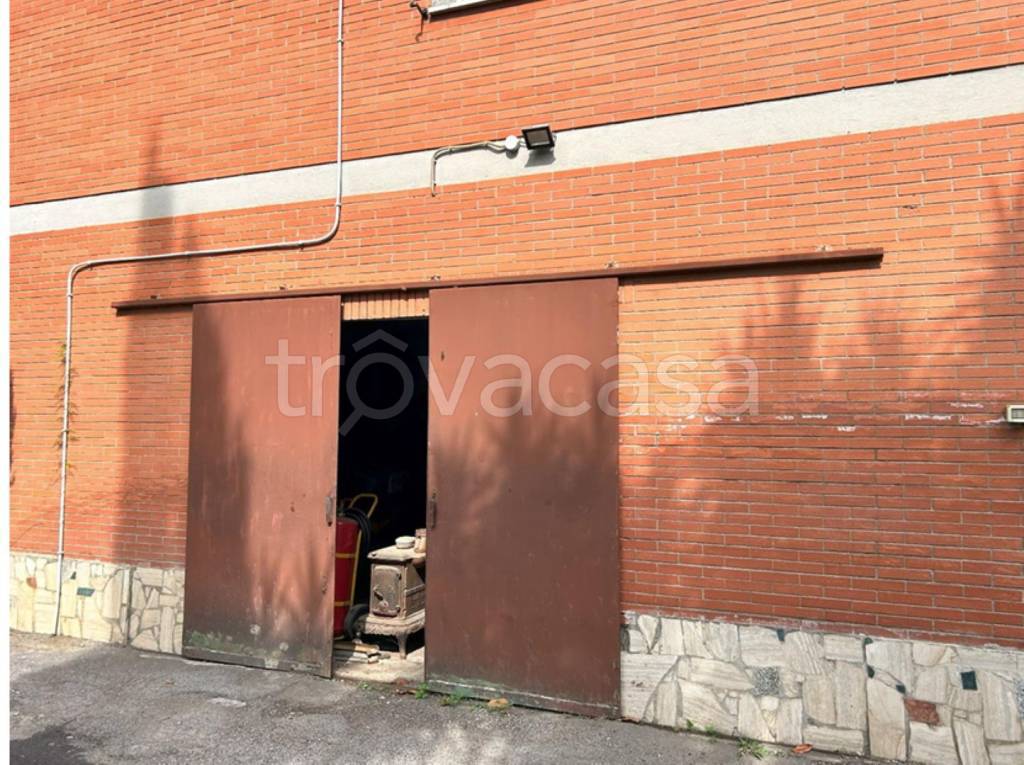 immagine annuncio 2 di 14