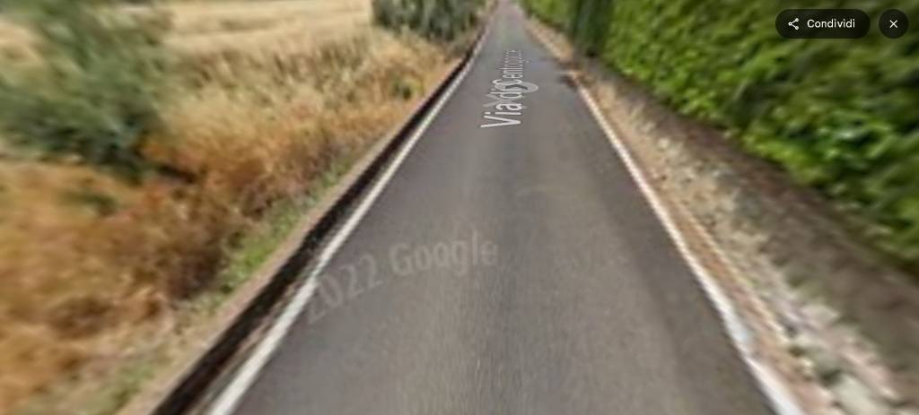 immagine annuncio 12 di 14