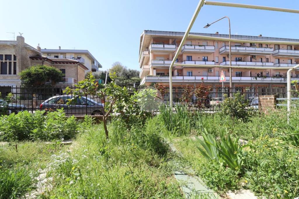 immagine annuncio 11 di 14