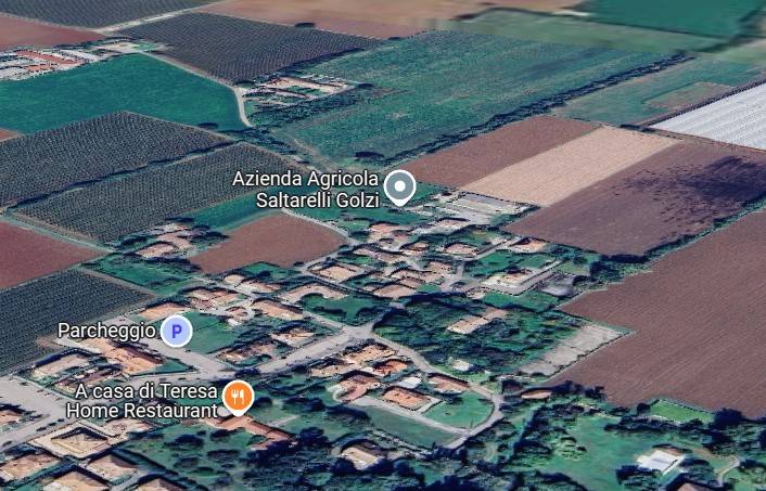 immagine annuncio 2 di 15