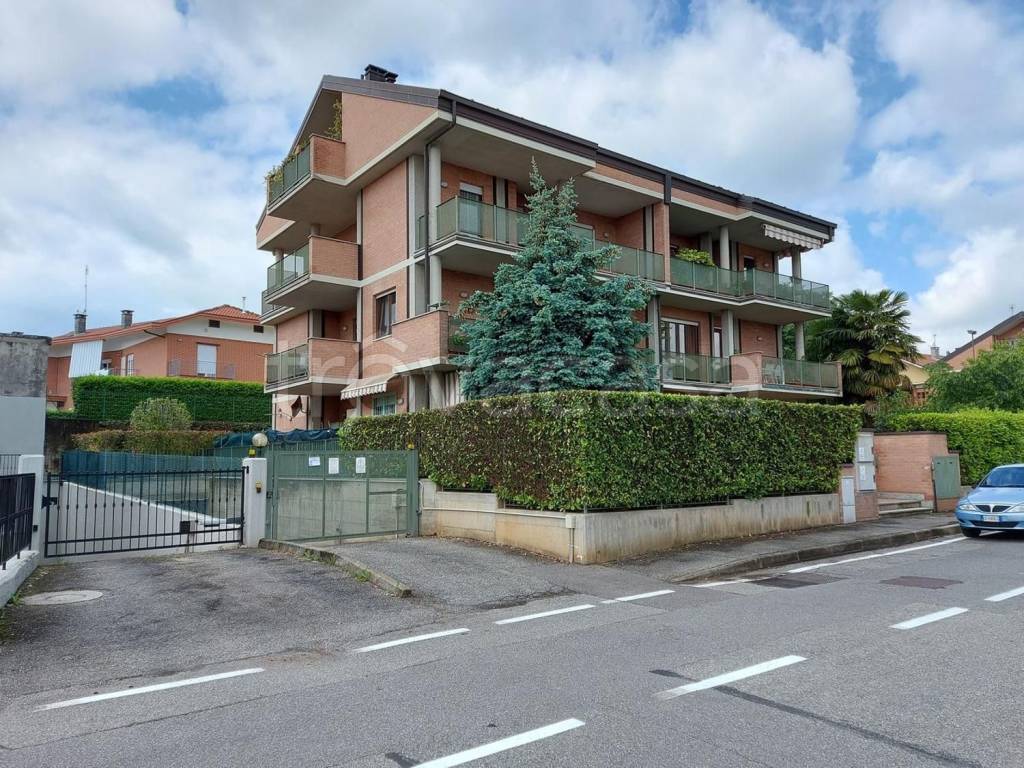 immagine annuncio 6 di 15