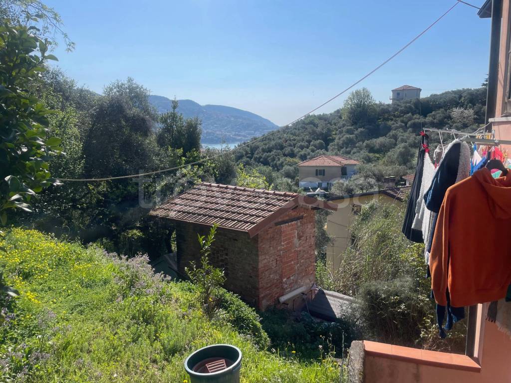 immagine annuncio 2 di 14