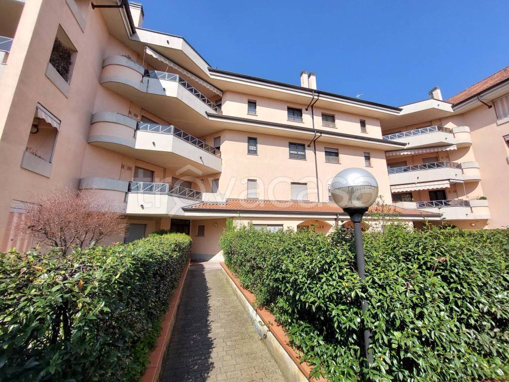 immagine annuncio 5 di 15