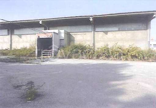 immagine annuncio 11 di 13