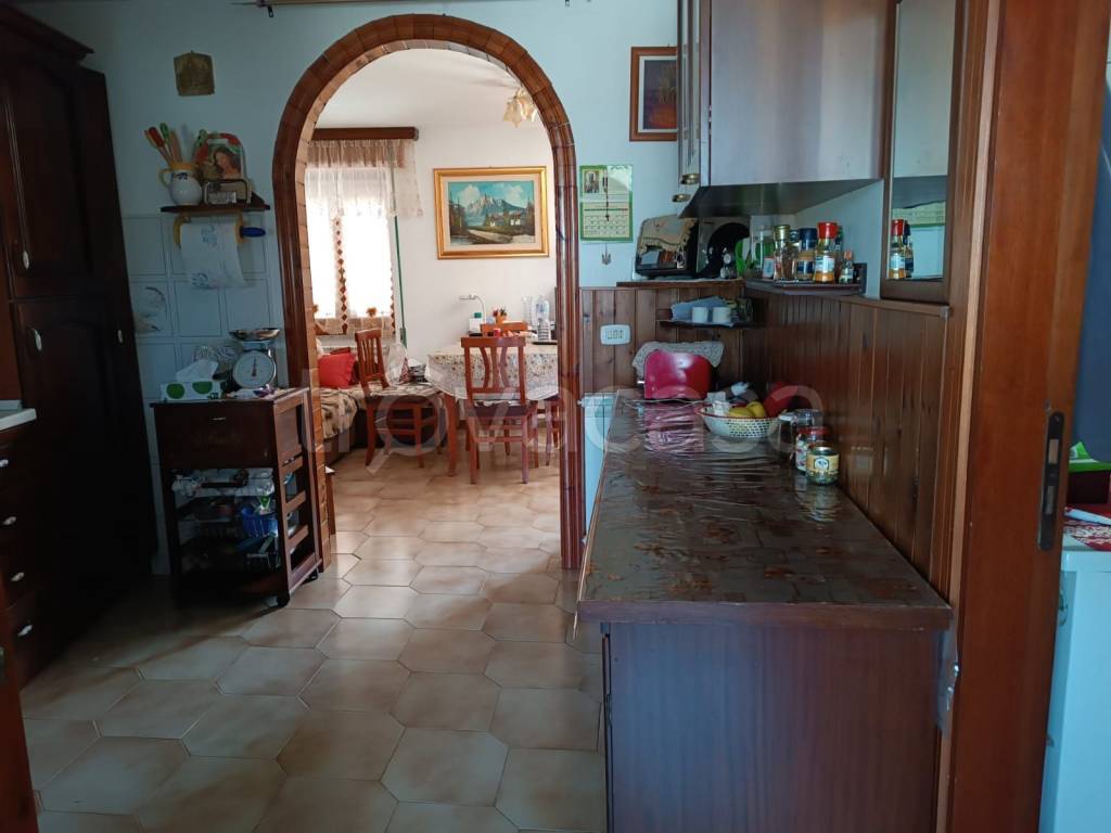 immagine annuncio 1 di 14