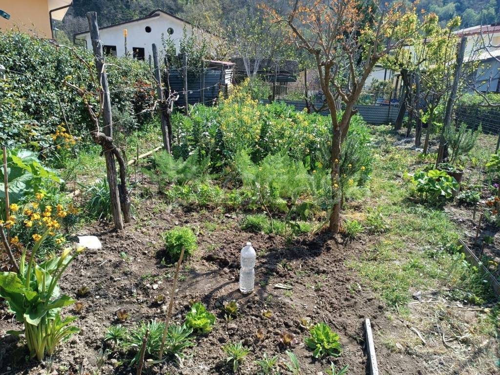 immagine annuncio 9 di 14