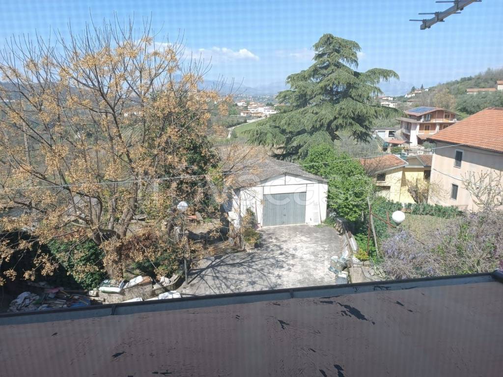 immagine annuncio 10 di 14