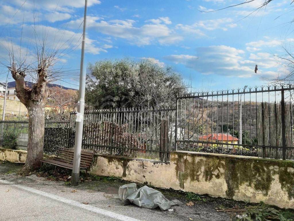 immagine annuncio 3 di 12