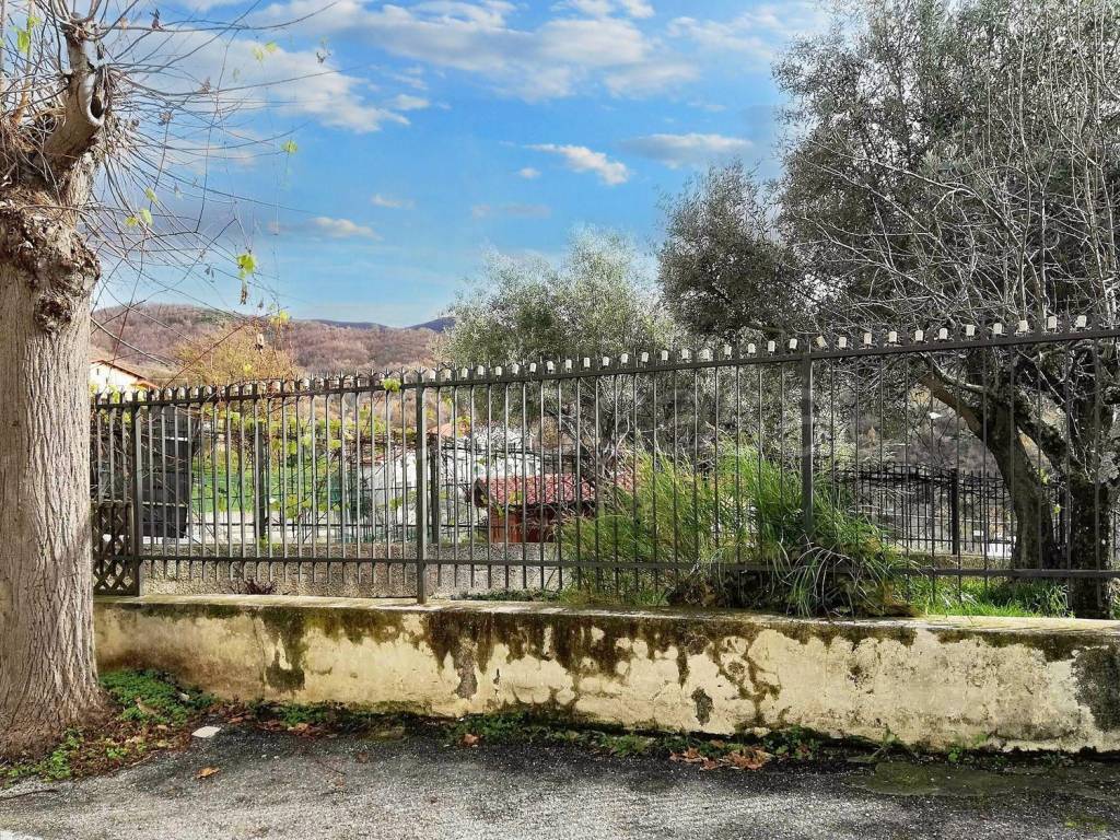 immagine annuncio 5 di 12