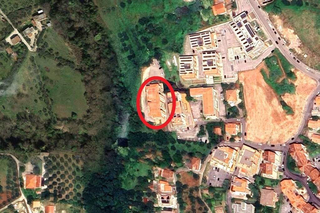immagine annuncio 5 di 9