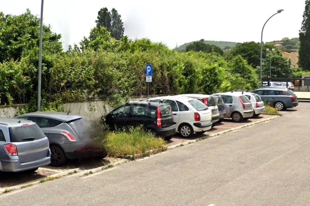 immagine annuncio 6 di 14