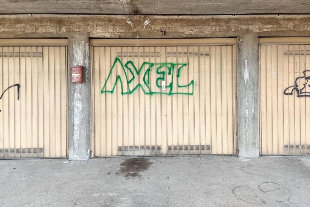 immagine annuncio 8 di 15