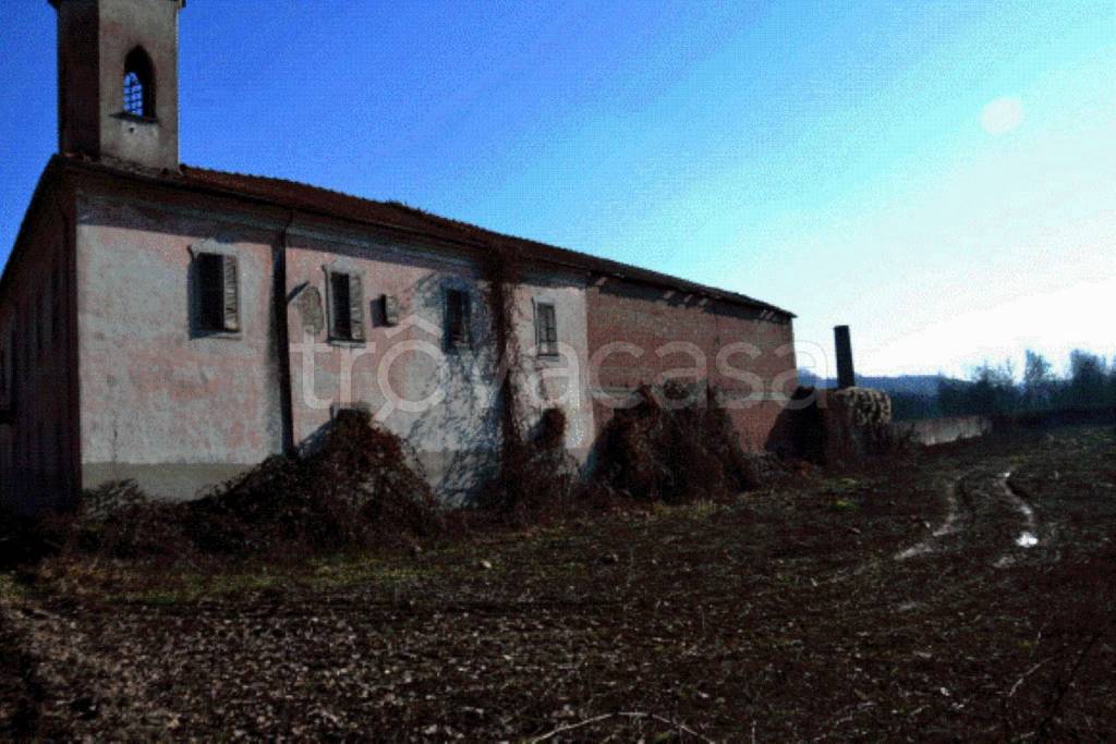 immagine annuncio 8 di 12