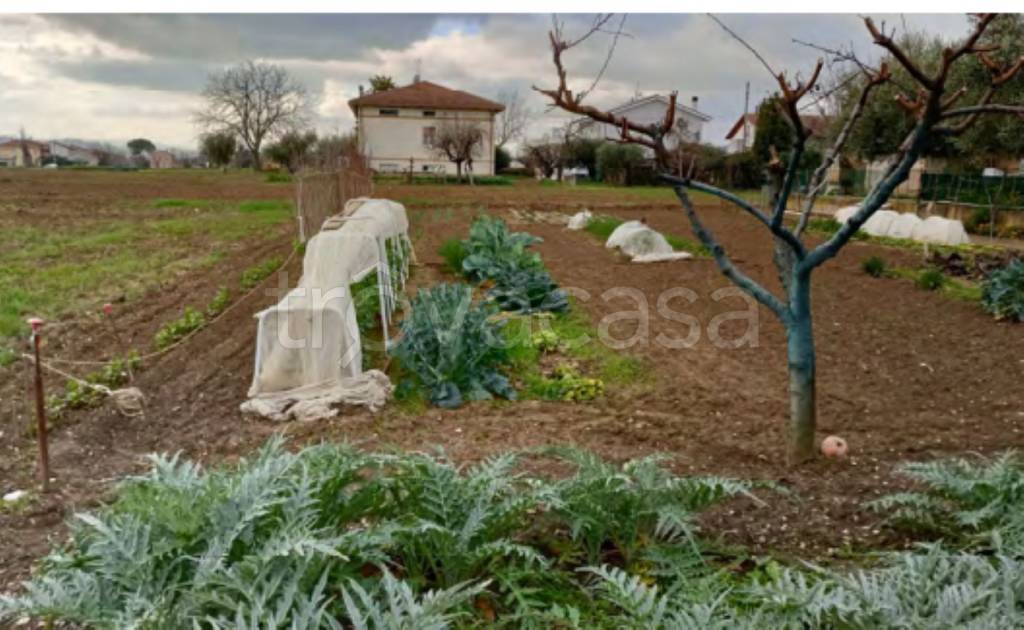 immagine annuncio 7 di 13