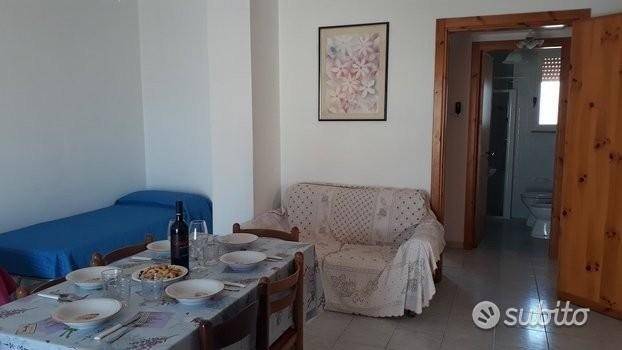 immagine annuncio 1 di 14