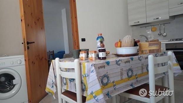 immagine annuncio 3 di 14