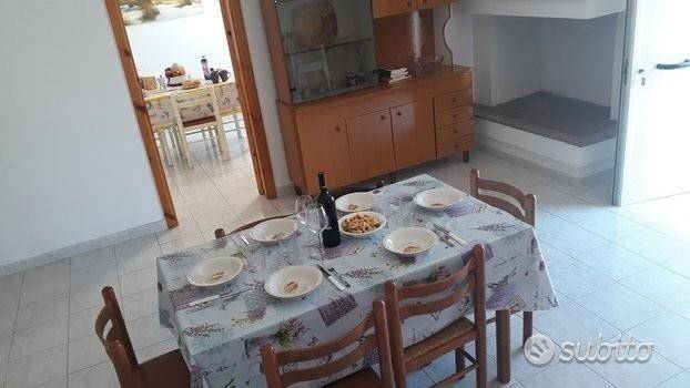 immagine annuncio 9 di 14