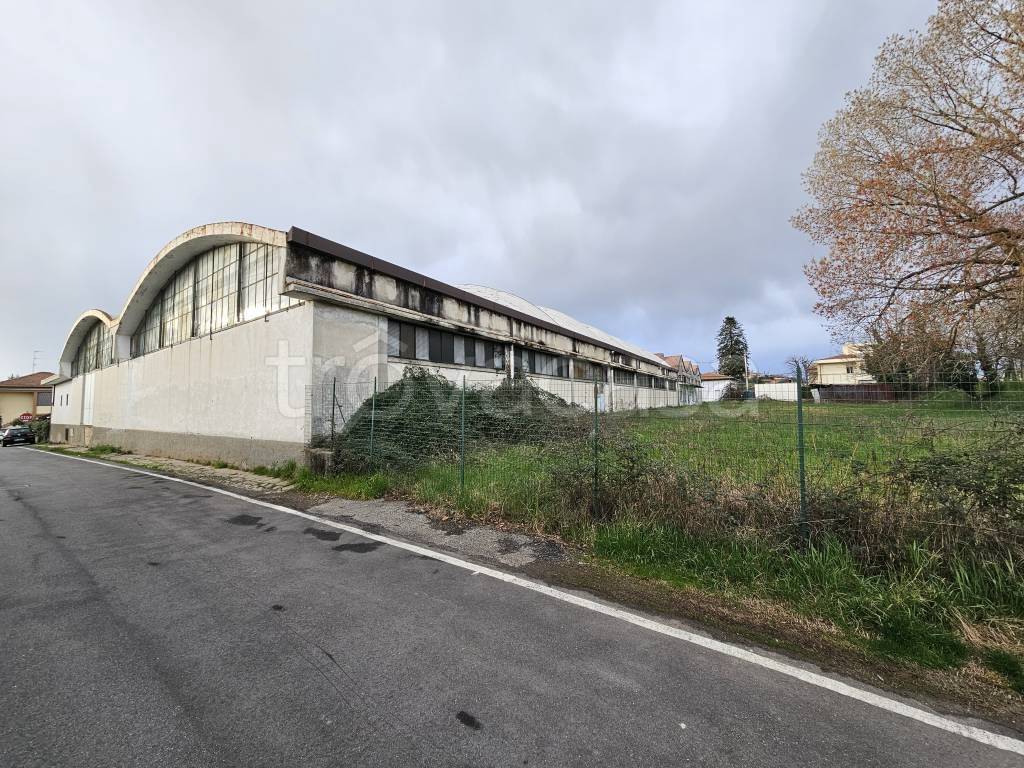 immagine annuncio 10 di 11