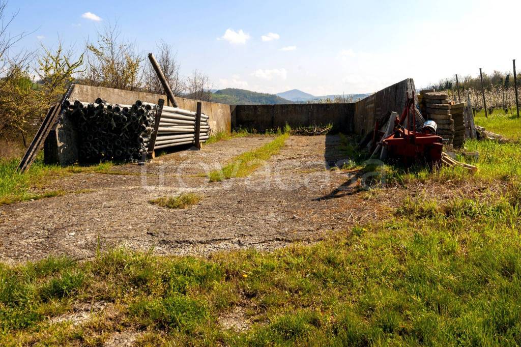 immagine annuncio 1 di 6