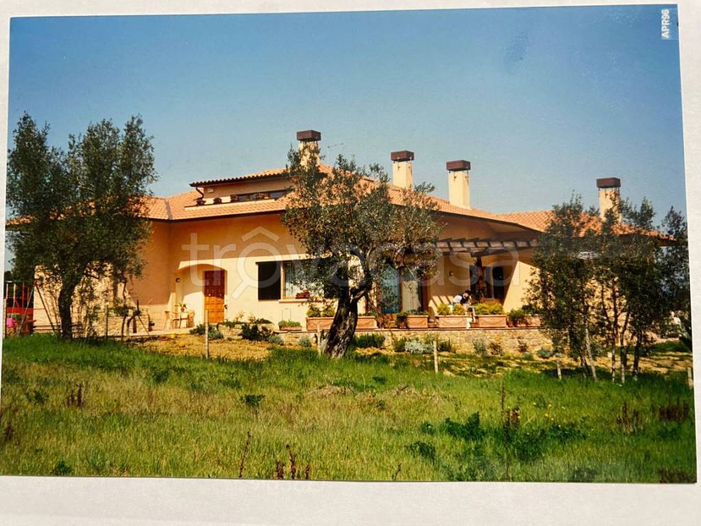 immagine annuncio 2 di 8