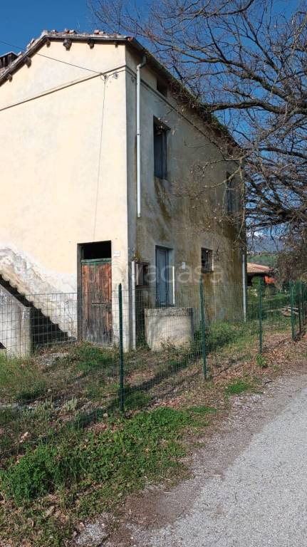 immagine annuncio 2 di 6