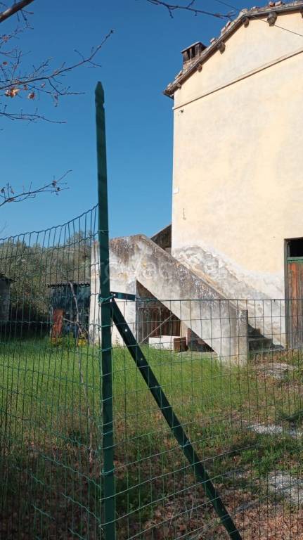 immagine annuncio 4 di 6