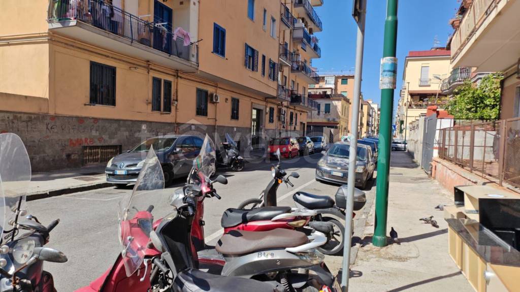 immagine annuncio 2 di 13