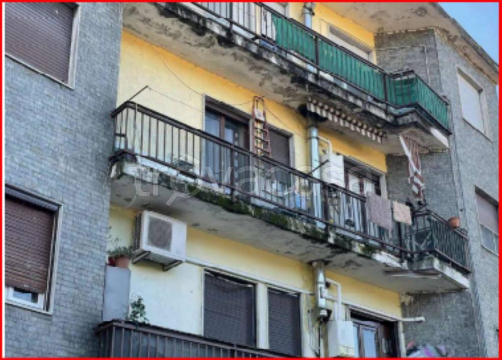 immagine annuncio 3 di 14