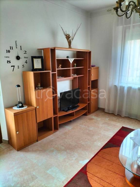immagine annuncio 12 di 14
