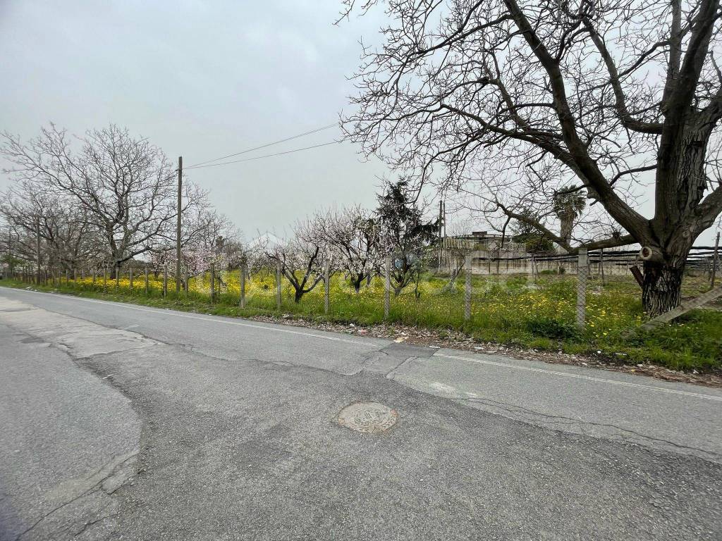 immagine annuncio 4 di 9
