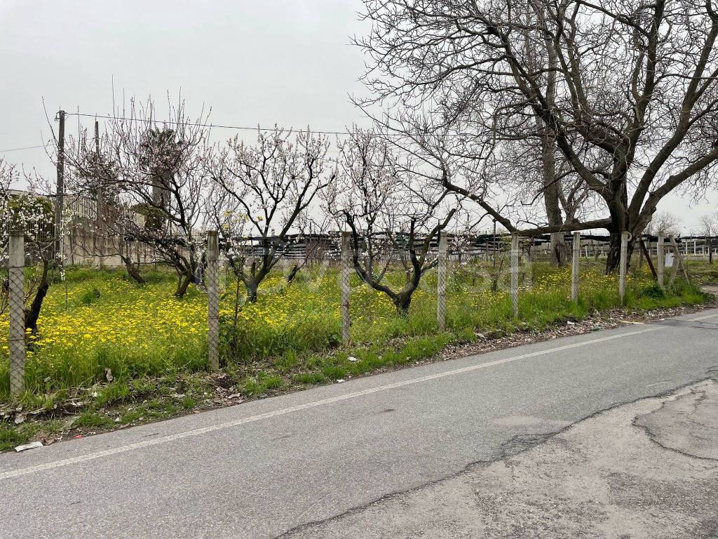 immagine annuncio 5 di 9