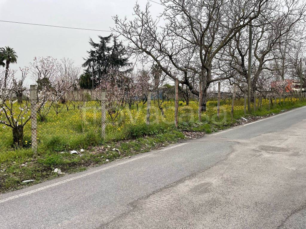 immagine annuncio 8 di 9